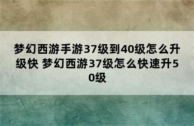 梦幻西游手游37级到40级怎么升级快 梦幻西游37级怎么快速升50级